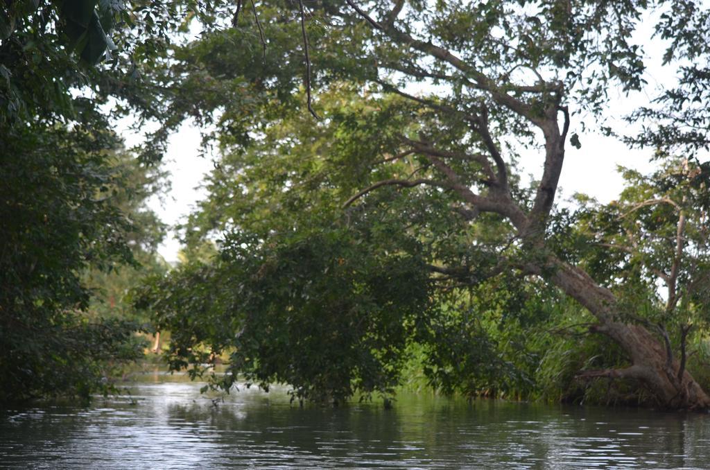 Makulu Safari Camping Udawalawe Bagian luar foto