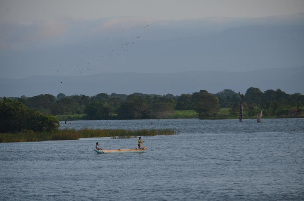 Makulu Safari Camping Udawalawe Bagian luar foto